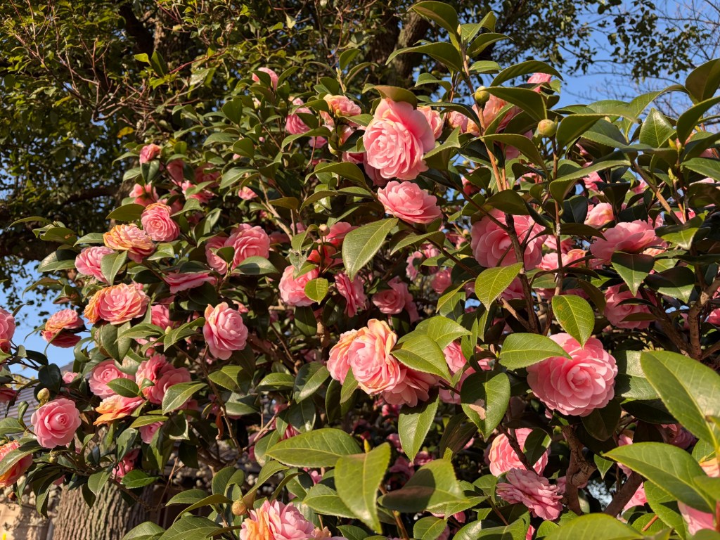 サウンドのイメージ